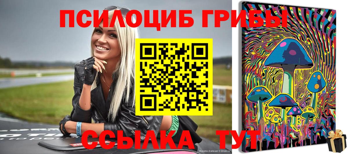 Псилоцибиновые грибы ЛСД  Вход с VPN  Семёнов  Галлюциногенные грибы Magic Shrooms 