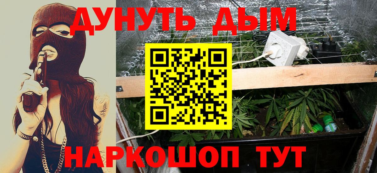 Канабис сатива  Канабис сатива  Вход с VPN  Шишки марихуана конопля  Семёнов 